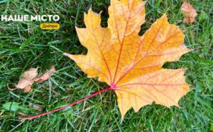 У Дніпрі побито температурний рекорд листопада