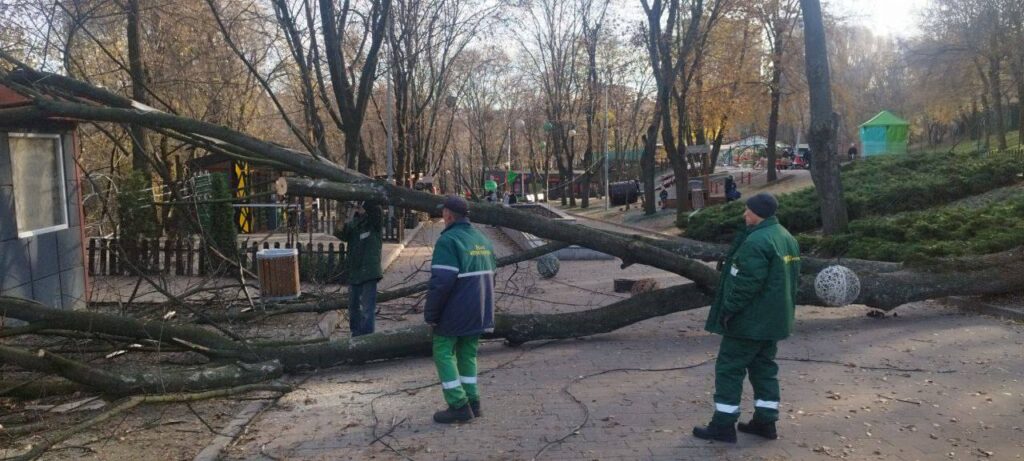 У Дніпрі комунальники розпочали прибирання поваленого дерева у Зеленому Гаю