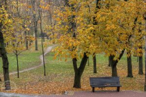 Ніч у Дніпрі пройшла спокійно: повітряні тривоги без обстрілів