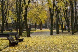 Спокійна ніч у Дніпрі: місто без обстрілів