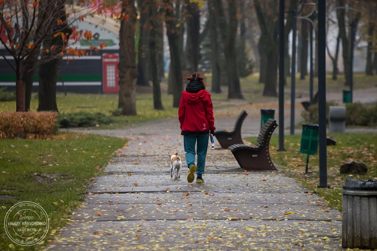 Сніговий циклон ударить по Україні: чекайте на сніг та ожеледицю