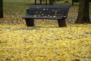 Зміни погоди в Україні: що чекає на дніпрян у кінці осені?