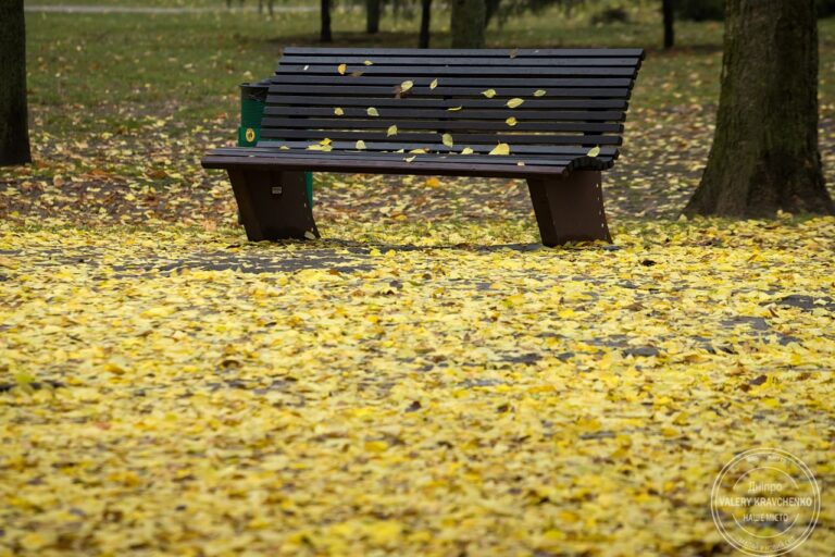 Зміни погоди в Україні: що чекає на дніпрян у кінці осені?