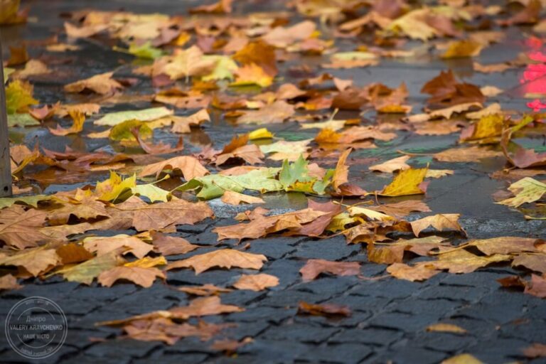 Зміни у погоді: сильний вітер та похолодання в Україні