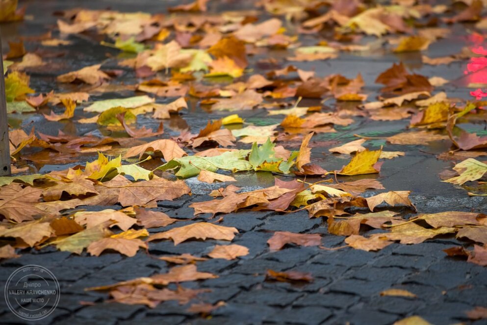 Зміни у погоді: сильний вітер та похолодання в Україні