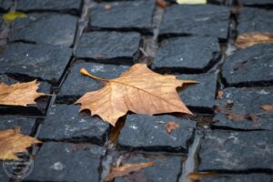 Свято преподобного Аліпія Стовпника: що потрібно знати про 26 листопада