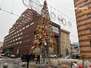 У Дніпрі встановлюють новорічну ялинку на Кельнському бульварі