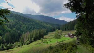 Відкрийте Карпати: катайтеся на гойдалці з видом на гори