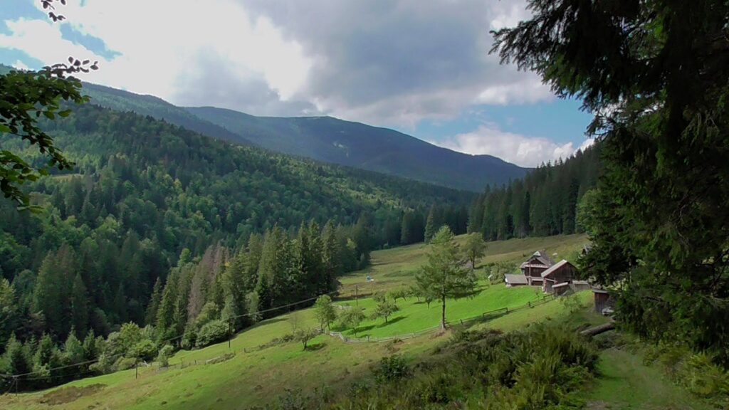 Відкрийте Карпати: катайтеся на гойдалці з видом на гори