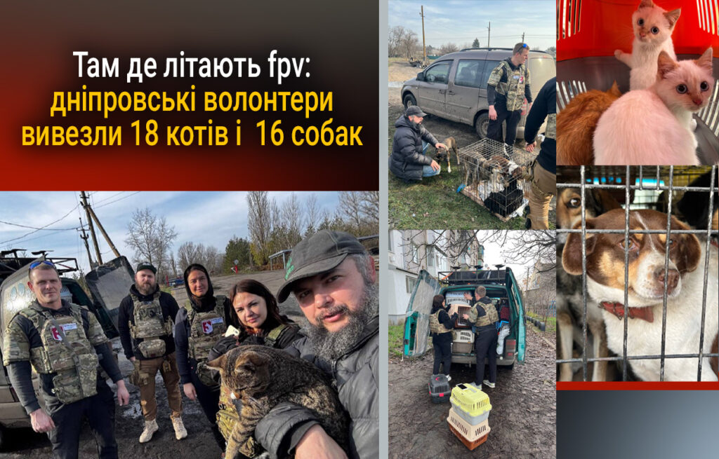 Дніпро: волонтери евакуювали 34 тварин із зони ризику