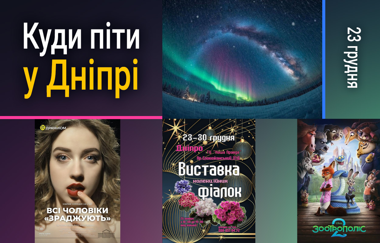 Виставка фіалок у Дніпрі: де побачити унікальні квіти
