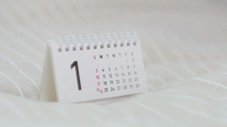 В Україні з’явиться нове свято: день програміста в січні