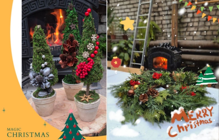 Ботсад ДНУ запрошує на святкові майстер-класи і виставки