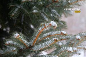 17 грудня: День пророка Даниїла – народні традиції та святкові забобони