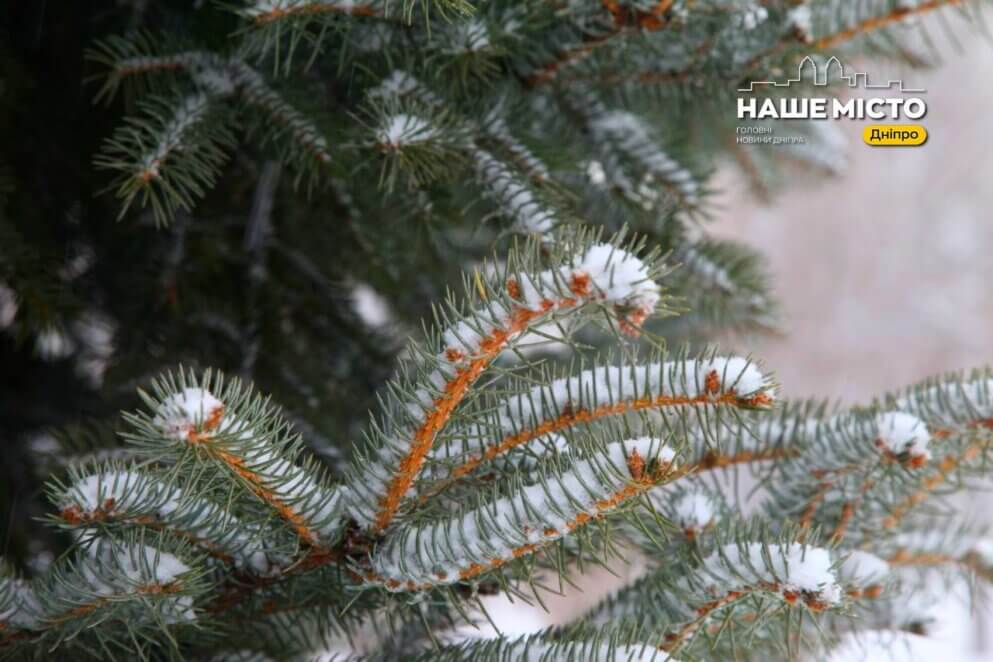 17 грудня: День пророка Даниїла – народні традиції та святкові забобони