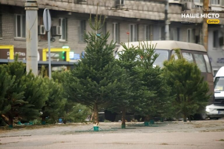 Як зберегти живу ялинку свіжою на свята: прості поради