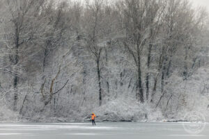 Перший тиждень зими в Україні: тепліше за норму з можливими дощами