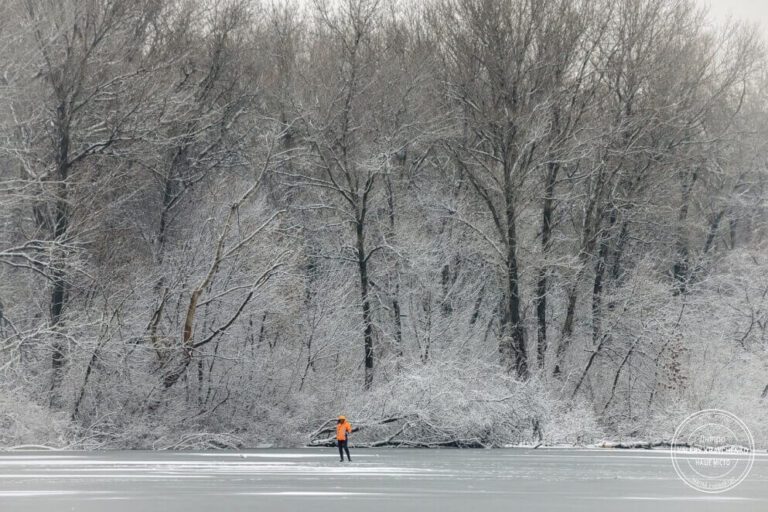 Перший тиждень зими в Україні: тепліше за норму з можливими дощами
