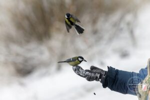 23 грудня: Чому у цей день варто зберігати спокій