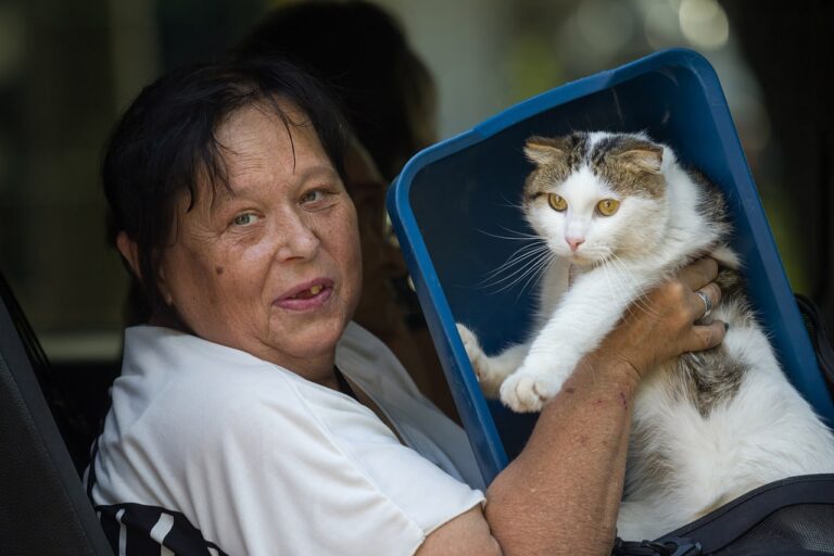 Евакуація з Дніпропетровщини: понад 35 тисяч людей переміщено