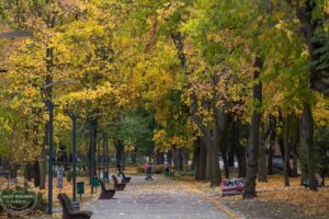 Антициклон вплине на погоду в Дніпрі 4 грудня
