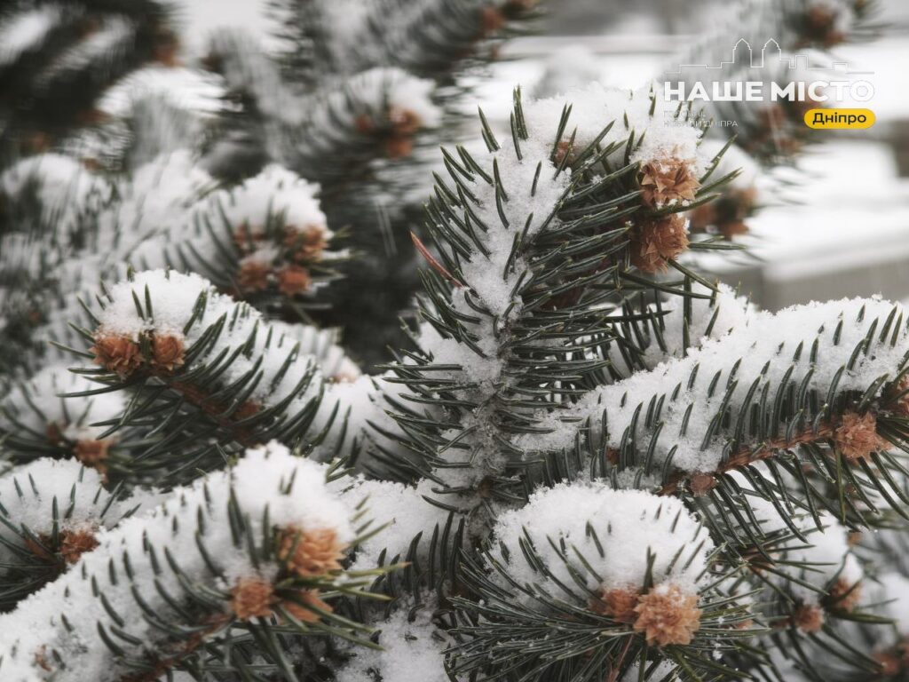 29 грудня: традиції та прикмети дня