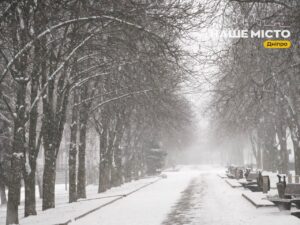 Снігові бурі та штормовий вітер: погода в Україні 28 грудня