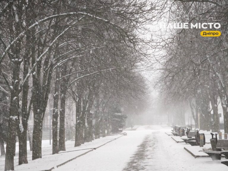 Снігові бурі та штормовий вітер: погода в Україні 28 грудня