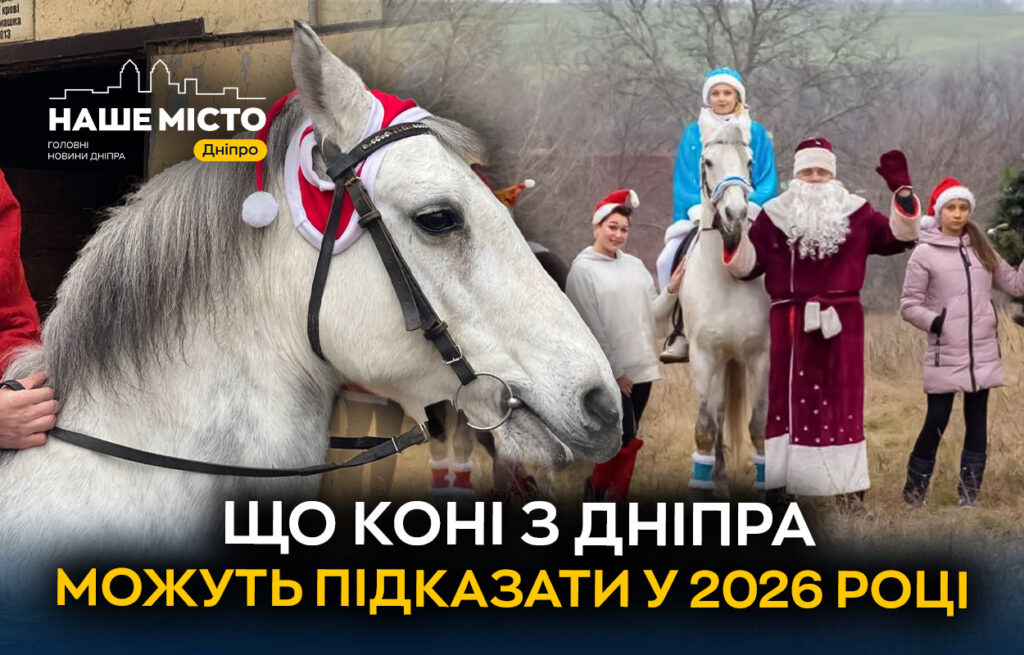 Сімейний кінний клуб “Алюр” у Дніпрі: традиції та особливості