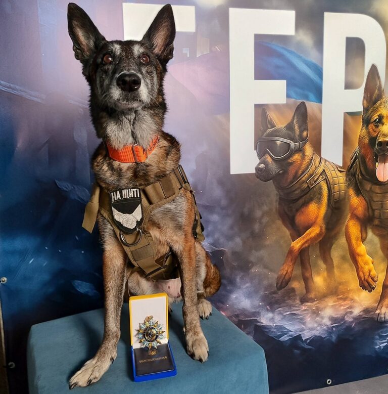 Спаркі з Павлограда нагороджена орденом за порятунок людей