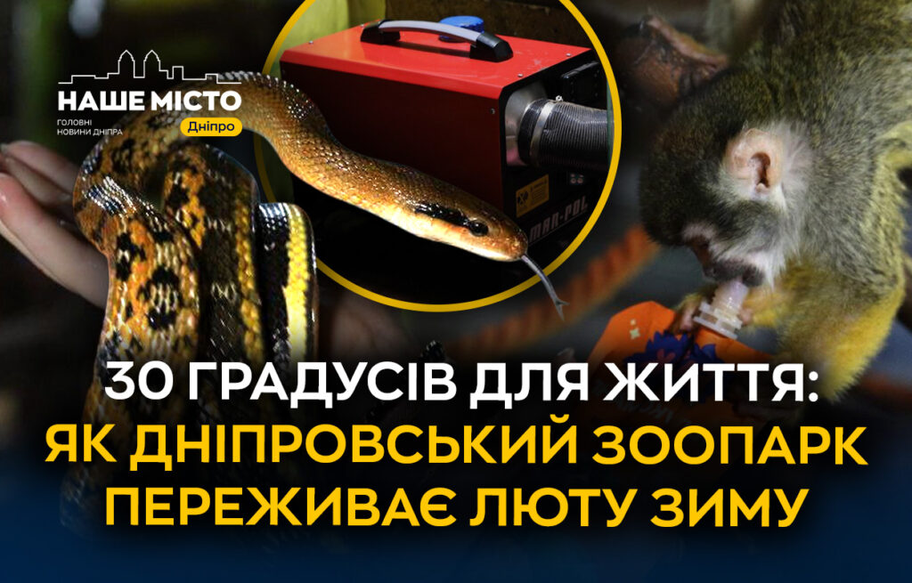 Боротьба за виживання тварин у дніпровському зоопарку «Жива Планета» під час блекаутів