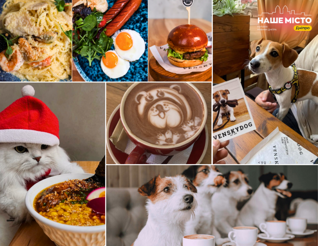 З домашніми улюбленцями у Дніпрі: куди піти?