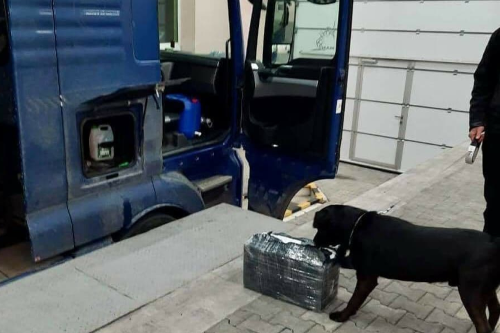 Митні собаки у Дніпрі – контрабанда не пройде