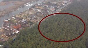 Майже три футбольні поля лісу: хто і навіщо віддав землю депутату Краснову в елітному передмісті Дніпра