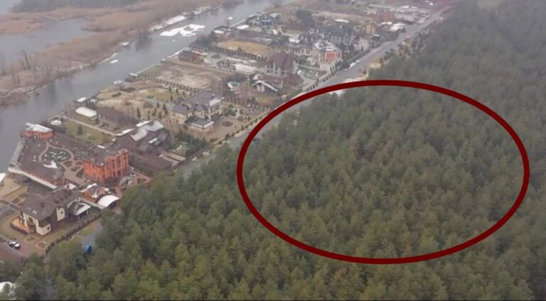 Майже три футбольні поля лісу: хто і навіщо віддав землю депутату Краснову в елітному передмісті Дніпра