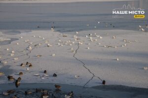 1431 день війни: робота комунальних служб у Дніпрі