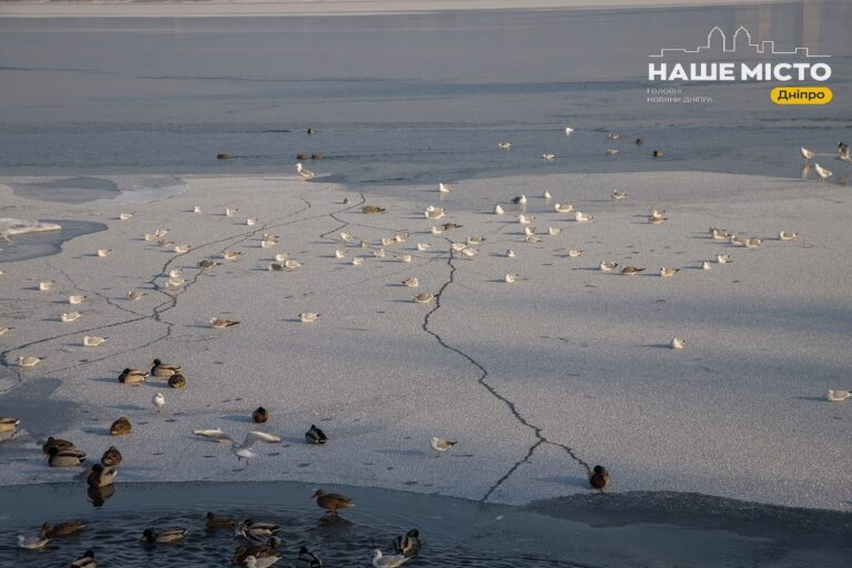 1431 день війни: робота комунальних служб у Дніпрі