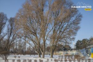 Значний мороз та ожеледиця: погодні умови в Україні 20 січня