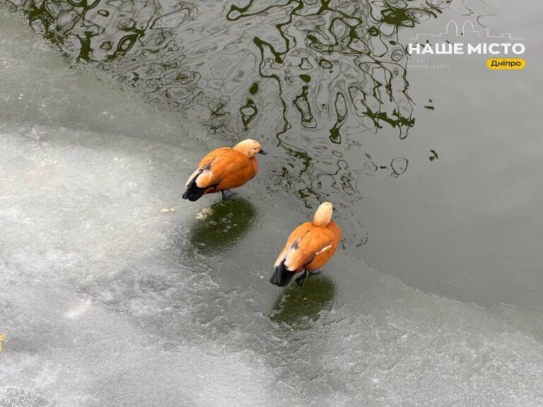 28 січня: традиції та заборони дня Єфрема Сирина