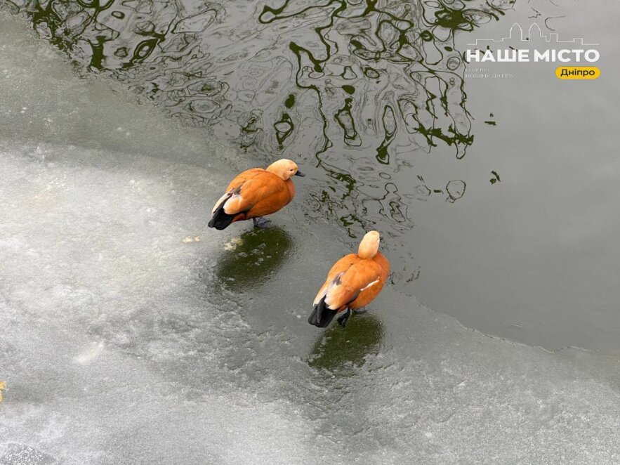 28 січня: традиції та заборони дня Єфрема Сирина