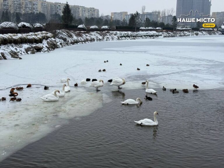 Морози не відступають: українців чекає різке похолодання