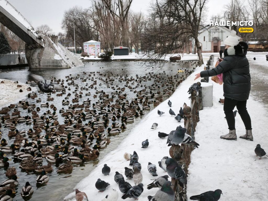 Тисячі птахів оселилися в парку ім. Лазаря Глоби у Дніпрі