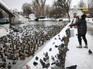 Тисячі птахів оселилися в парку ім. Лазаря Глоби у Дніпрі