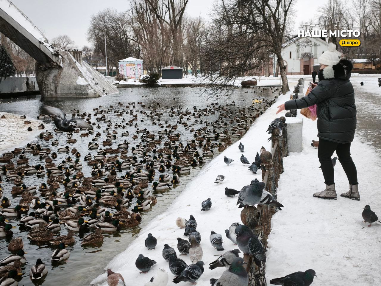 Тисячі птахів оселилися в парку ім. Лазаря Глоби у Дніпрі