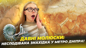 У метро Дніпра знайдено відбитки давніх молюсків