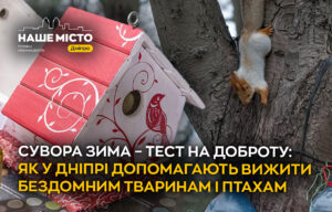 Дніпро зимує: як містяни рятують бездомних тварин від холоду