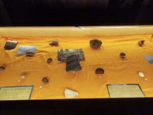 В музеї Яворницького представлені скам’янілості доісторичних епох