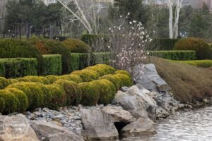 Березень 2026: Якою буде погода в Україні?