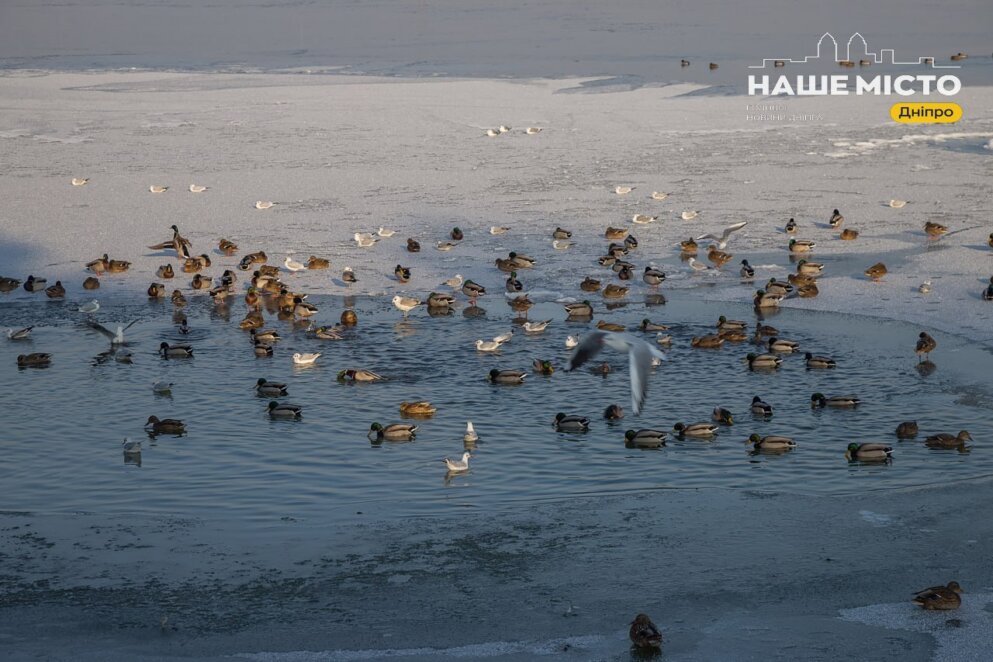 Традиції та заборони 25 лютого: день святого Тарасія