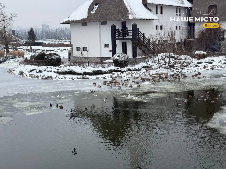Коли чекати відлигу в Україні: прогноз метеорологів
